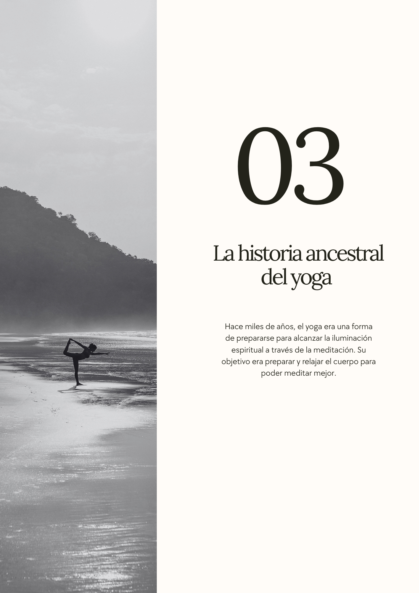 TU VIAJE AL YOGA - LA GUÍA